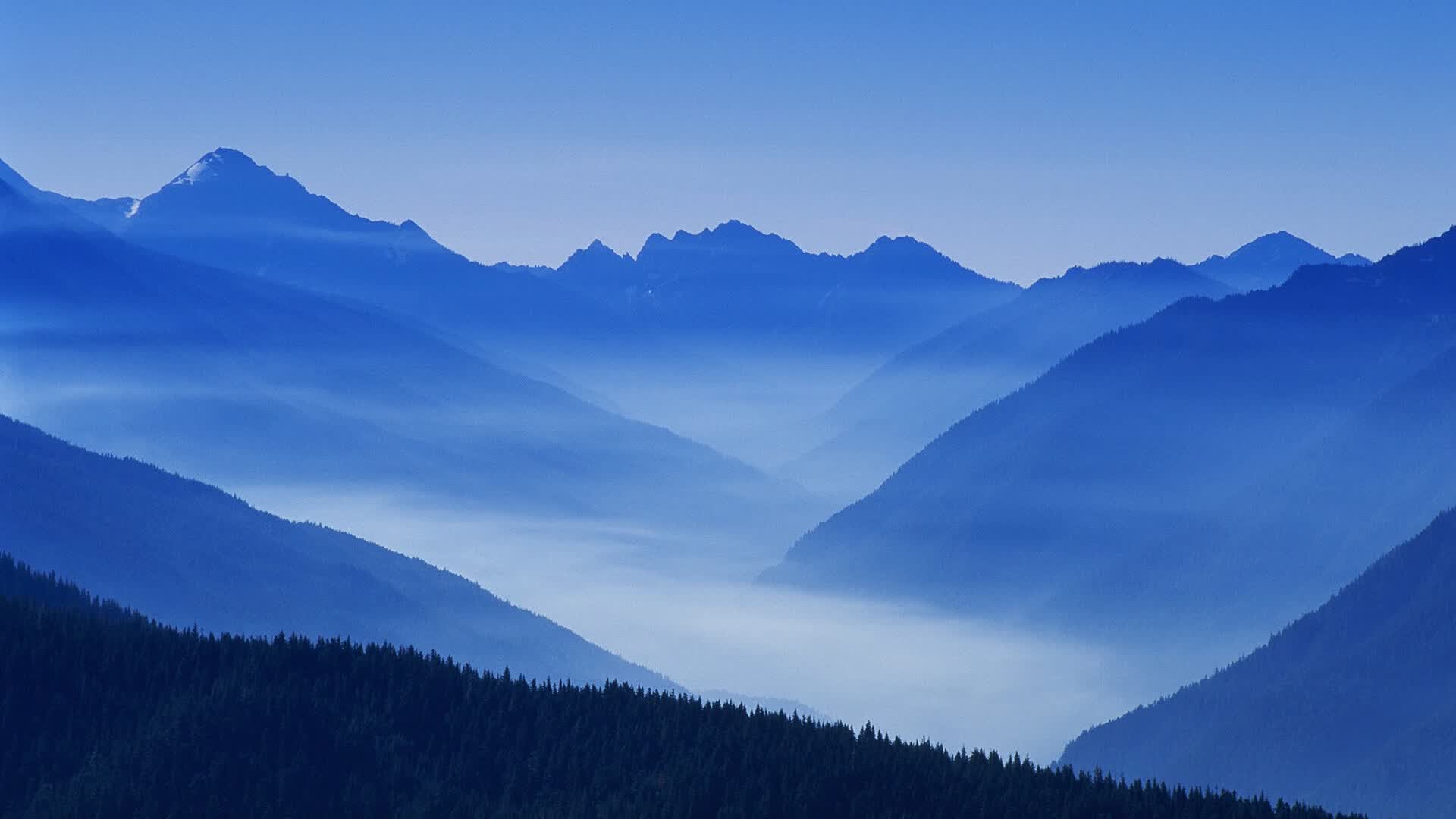 世界举重青少年康复训练营招生与课程安排，世界举重协会